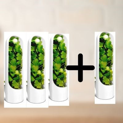 Herbes fraîches cuisine | boite à herbe fraiche™